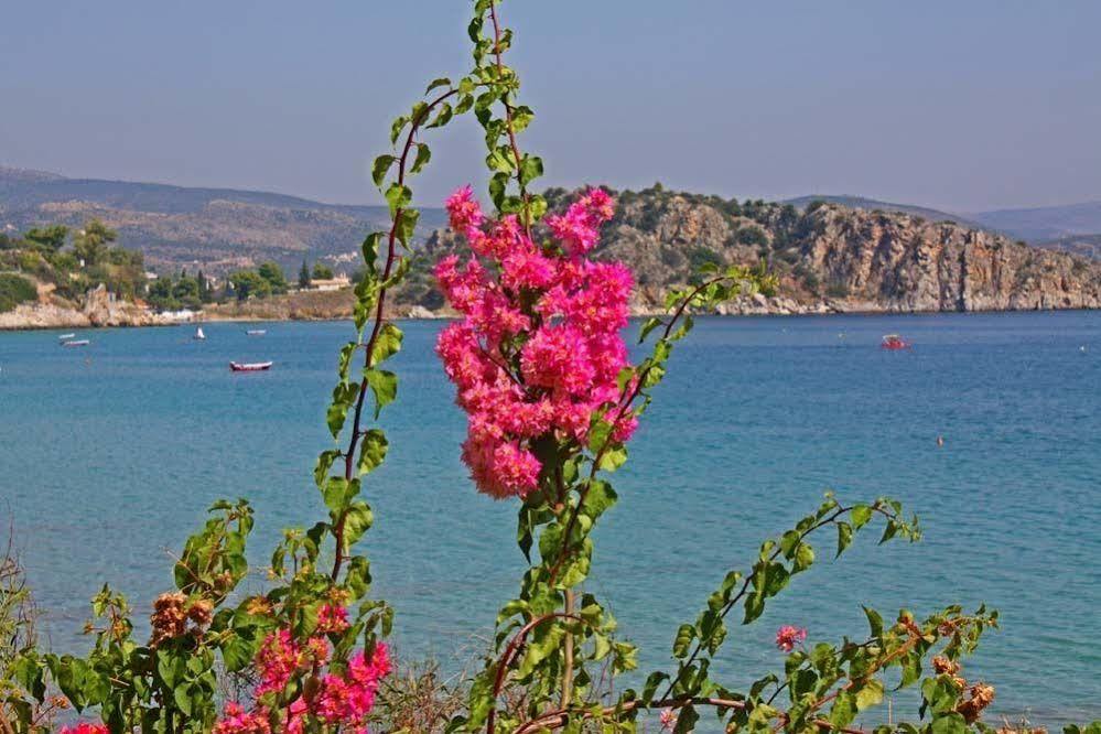 Poseidon Apartments Tolo Luaran gambar
